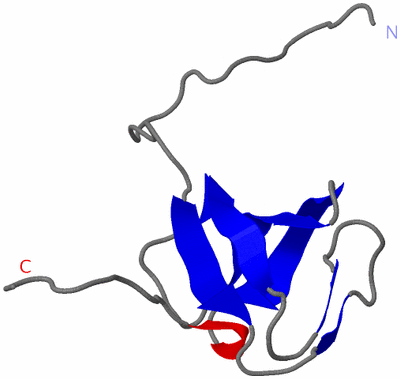 Image NMR Structure - model 1