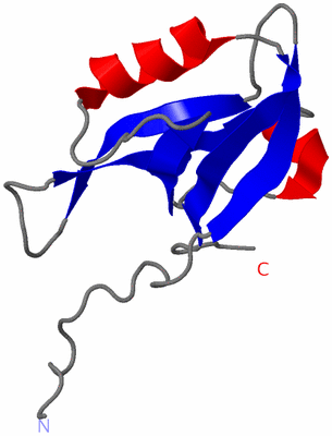 Image NMR Structure - model 1