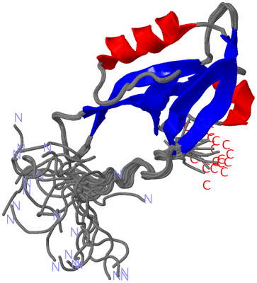 Image NMR Structure - all models