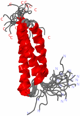 Image NMR Structure - all models