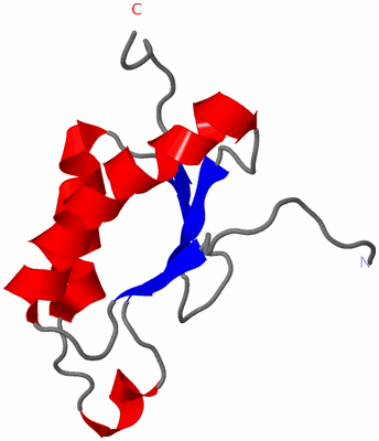 Image NMR Structure - model 1