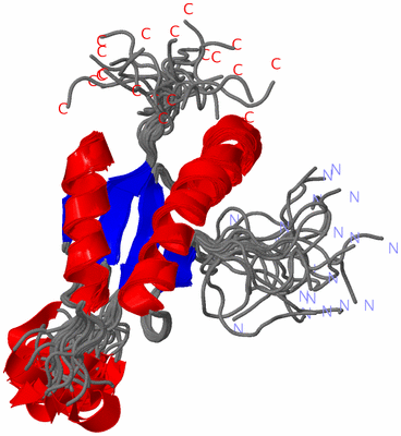 Image NMR Structure - all models