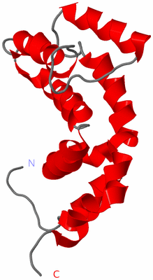 Image NMR Structure - model 1