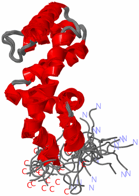 Image NMR Structure - all models