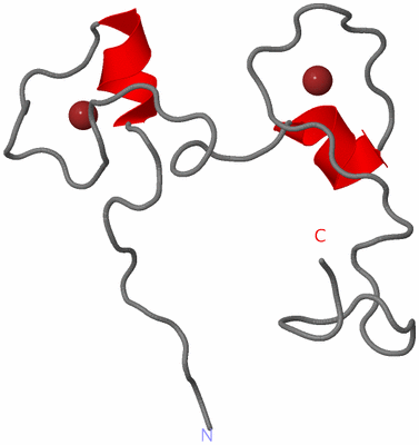 Image NMR Structure - model 1