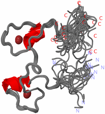 Image NMR Structure - all models