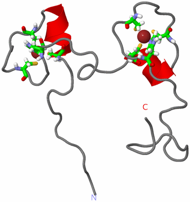 Image NMR Structure - model 1, sites