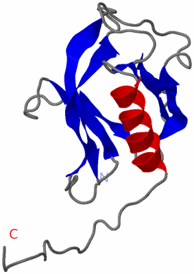 Image NMR Structure - model 1