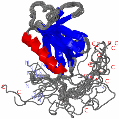 Image NMR Structure - all models