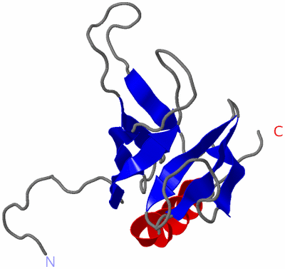 Image NMR Structure - model 1