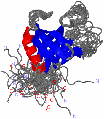 Image NMR Structure - all models