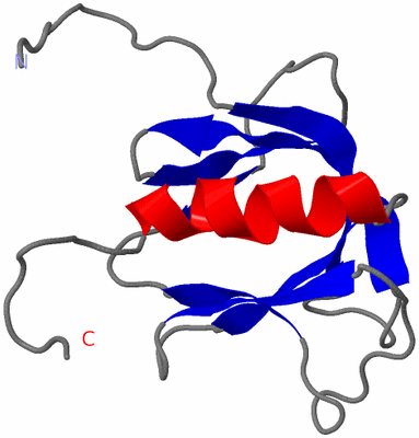 Image NMR Structure - model 1