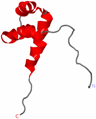 Image NMR Structure - model 1