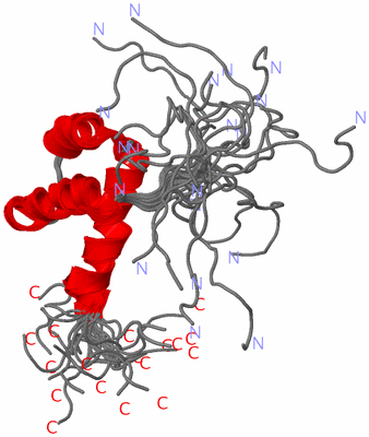 Image NMR Structure - all models