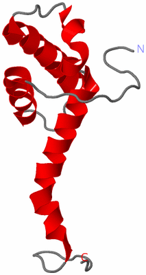 Image NMR Structure - model 1