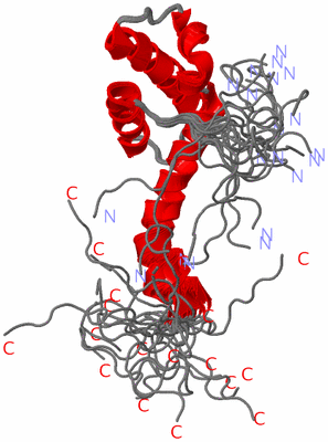 Image NMR Structure - all models