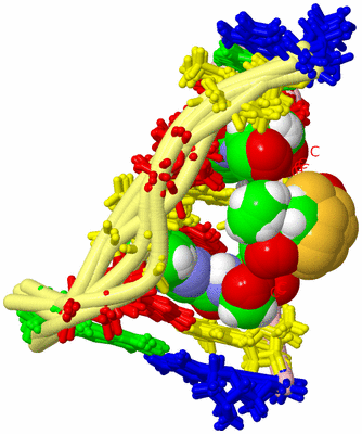 Image NMR Structure - all models