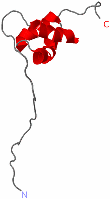 Image NMR Structure - model 1