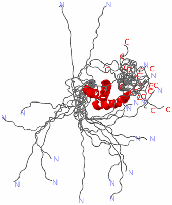 Image NMR Structure - all models