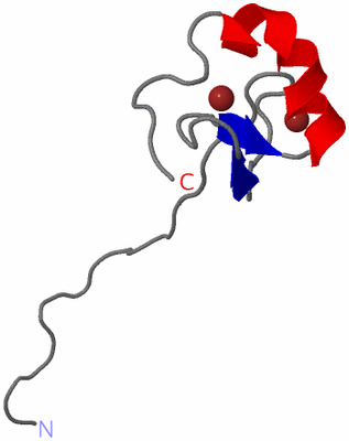Image NMR Structure - model 1