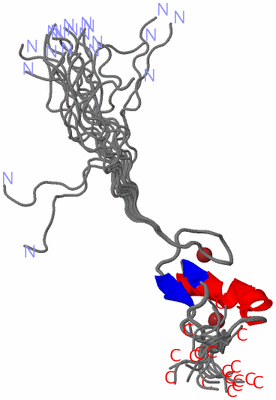 Image NMR Structure - all models