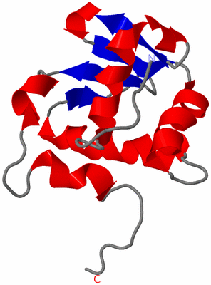 Image NMR Structure - model 1