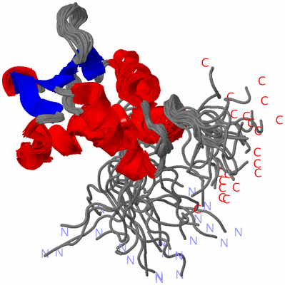 Image NMR Structure - all models