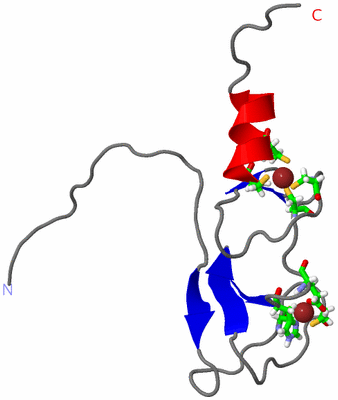 Image NMR Structure - model 1, sites