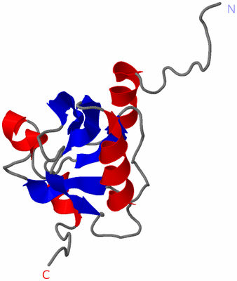 Image NMR Structure - model 1