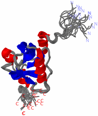 Image NMR Structure - all models