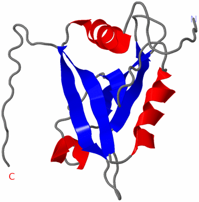 Image NMR Structure - model 1