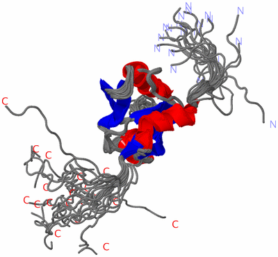 Image NMR Structure - all models