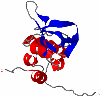 Image NMR Structure - model 1