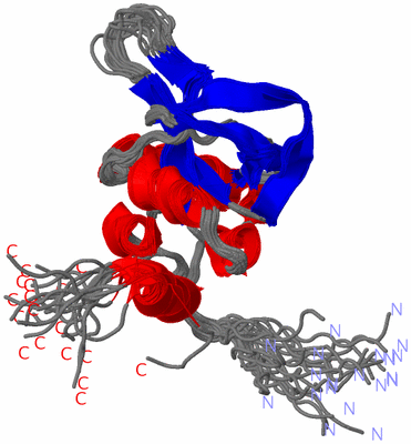 Image NMR Structure - all models