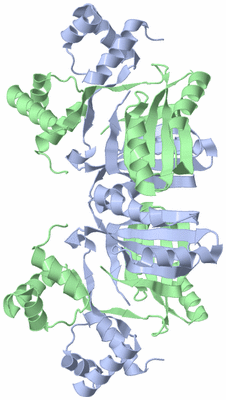 Image Biological Unit 2