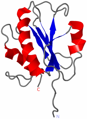 Image NMR Structure - model 1