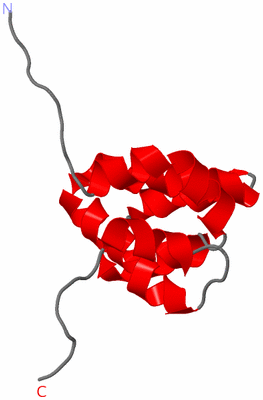 Image NMR Structure - model 1