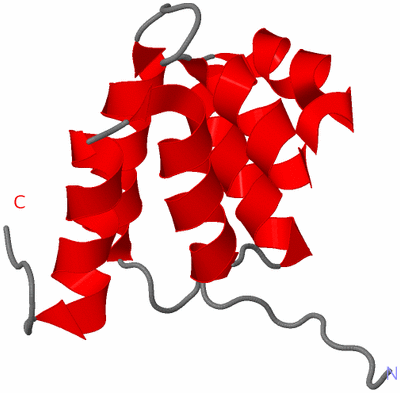 Image NMR Structure - model 1