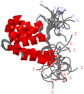 Image NMR Structure - all models