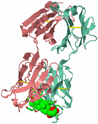 Image Asym. Unit - sites