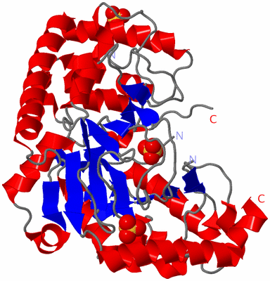 Image Asym./Biol. Unit