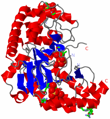 Image Asym./Biol. Unit - sites