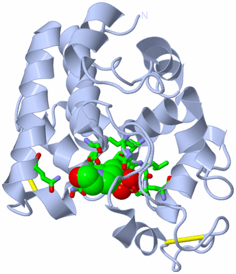 Image Biol. Unit 1 - sites