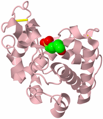 Image Biological Unit 3