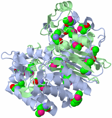 Image Biological Unit 1