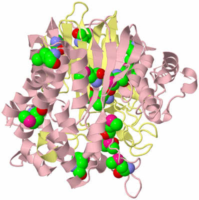 Image Biological Unit 2