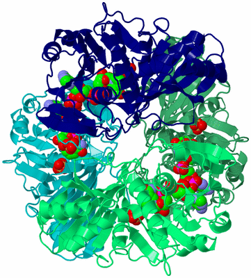 Image Asym./Biol. Unit