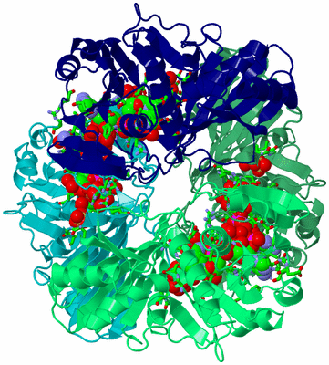 Image Asym./Biol. Unit - sites