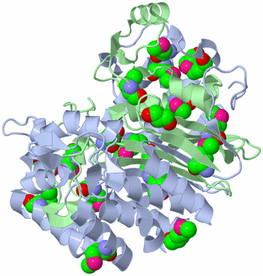 Image Biological Unit 1