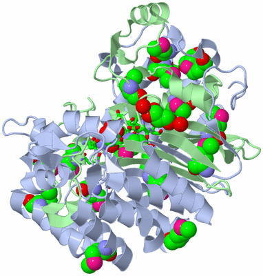 Image Biol. Unit 1 - sites